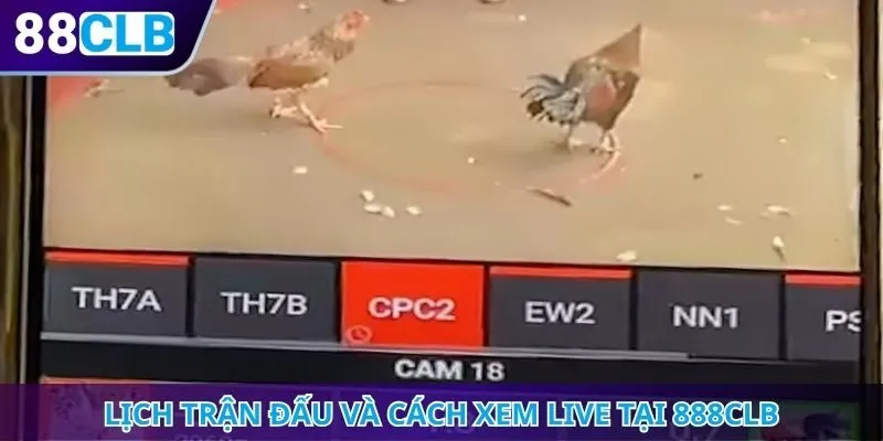 Lịch trận đấu và cách xem live tại 888CLB